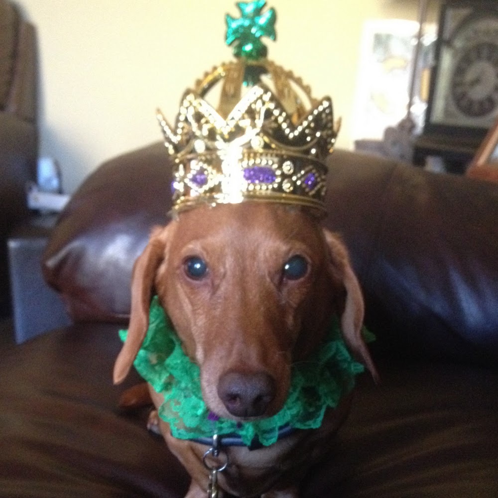 Meet your Posher, Rosanna